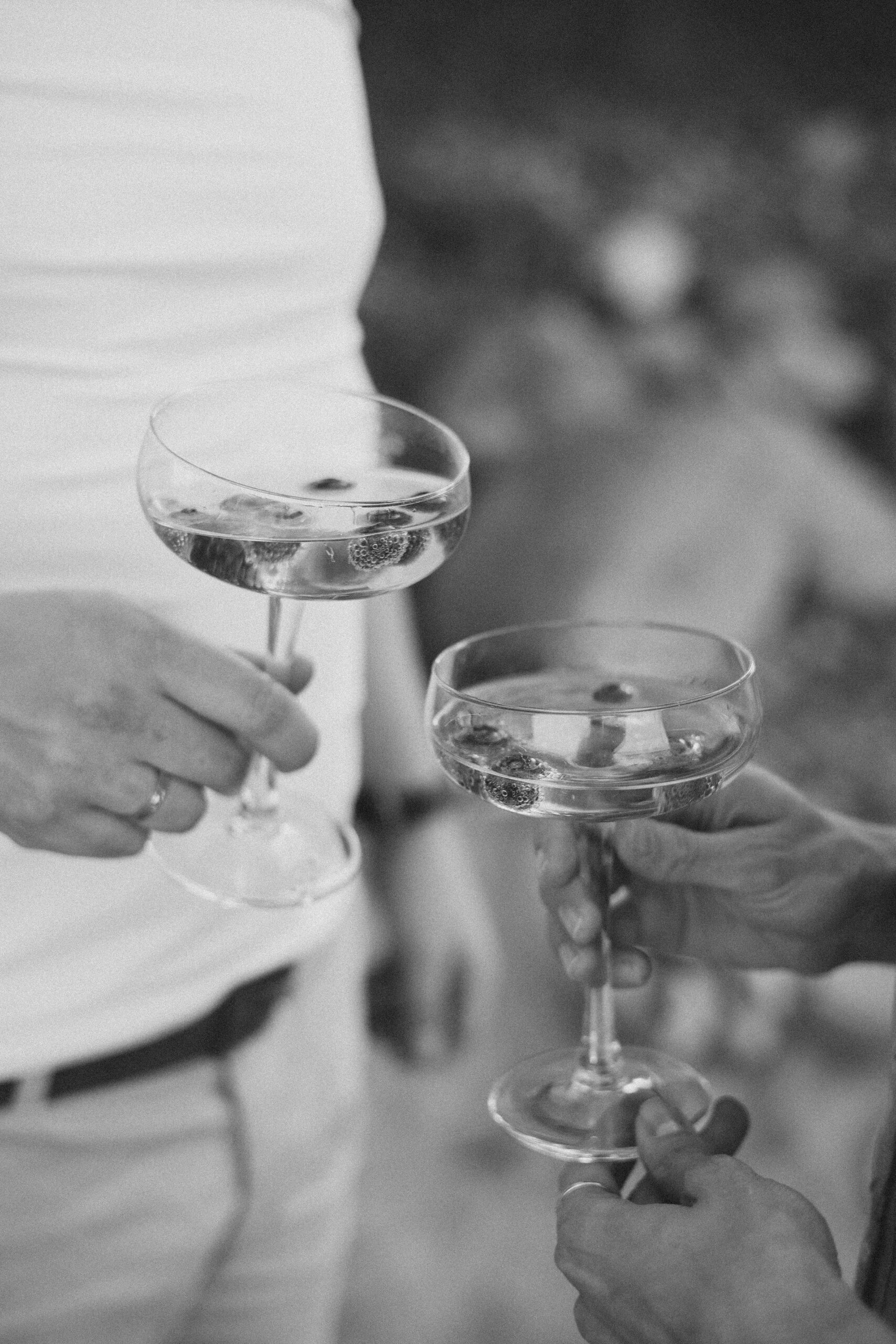 Entreprise - cocktail Drôme Traiteur